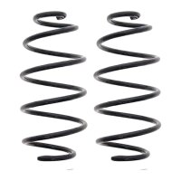 Fahrwerksfedern-Set hinten Schraubenfeder Ø 138 mm...
