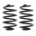 Fahrwerksfedern-Set hinten Schraubenfeder Ø 129 mm KYB für RENAULT CLIO