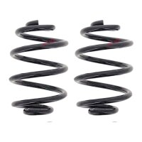 Fahrwerksfedern-Set hinten Schraubenfeder Ø 143 mm...