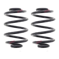 Suspension Spring Set rear coil spring Ø 155 mm...