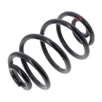 Fahrwerksfedern-Set hinten Schraubenfeder Ø 153 mm...