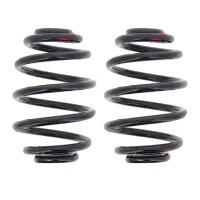 Suspension Spring Set rear coil spring Ø 148 mm...
