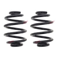 Fahrwerksfedern-Set hinten Schraubenfeder Ø 145 mm...