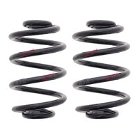 Suspension Spring Set rear coil spring Ø 142 mm...
