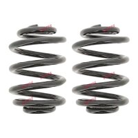 Fahrwerksfedern-Set hinten Schraubenfeder Ø 149 mm...
