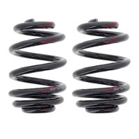 Fahrwerksfedern-Set hinten Schraubenfeder Ø 150 mm...