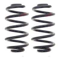 Fahrwerksfedern-Set hinten Schraubenfeder Ø 143 mm...