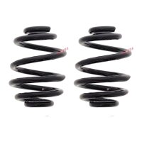Fahrwerksfedern-Set hinten Schraubenfeder Ø 151 mm...