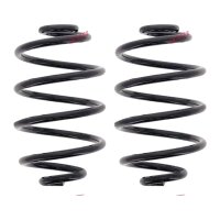 Fahrwerksfedern-Set hinten Schraubenfeder Ø 141 mm...