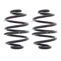 Fahrwerksfedern-Set hinten Schraubenfeder Ø 142 mm...