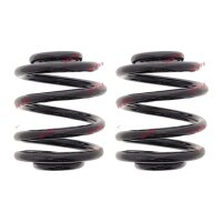 Fahrwerksfedern-Set hinten Schraubenfeder Ø 146 mm...