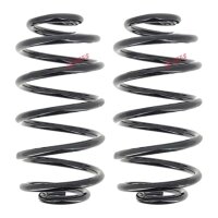 Fahrwerksfedern-Set hinten Schraubenfeder Ø 143 mm...