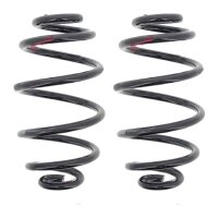 Suspension Spring Set rear coil spring Ø 141 mm...