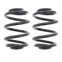 Fahrwerksfedern-Set hinten Schraubenfeder Ø 144 mm...