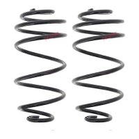 Fahrwerksfedern-Set hinten Schraubenfeder Ø 141 mm...