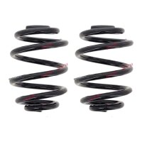 Fahrwerksfedern-Set hinten Schraubenfeder Ø 145 mm...