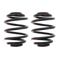 Fahrwerksfedern-Set hinten Schraubenfeder Ø 158 mm...