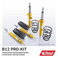Suspension Kit Springs/Shock Absorbers gas pressure EIBACH for BMW 5 Series