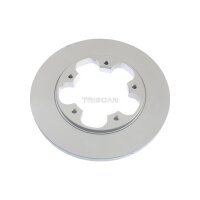 2 Bremsscheiben voll Ø 308 mm TRISCAN...