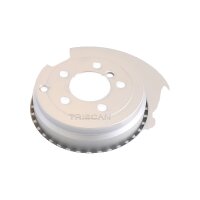 2 Bremsscheiben belüftet Ø 365 mm TRISCAN...