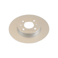 2 Bremsscheiben belüftet Ø 256 mm TRISCAN...