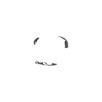 2 Bremsscheiben voll Ø 300 mm TRISCAN passend für u.a. RENAULT LAGUNA