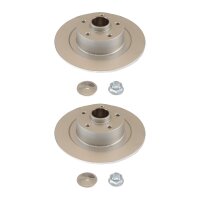 2 Bremsscheiben voll Ø 300 mm TRISCAN...