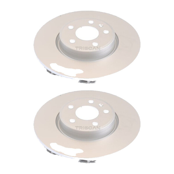 2 Brake Discs vented Ø 318 mm TRISCAN Brake-Expertise for AUDI A5 and others