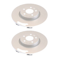 2 Brake Discs vented Ø 318 mm TRISCAN...