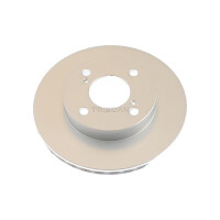 2 Bremsscheiben belüftet Ø 231 mm TRISCAN...