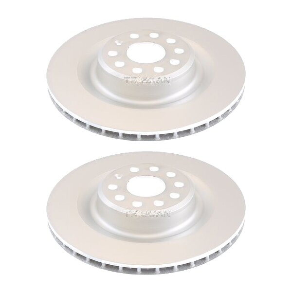 2 Bremsscheiben belüftet Ø 365 mm TRISCAN passend für u.a. TESLA MODEL