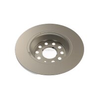 2 Bremsscheiben voll Ø 300 mm TRISCAN Bremsen-Expertise für u.a. MG 4