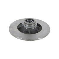 2 Brake Discs full Ø 238 mm TRISCAN...