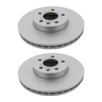 2 Bremsscheiben belüftet Ø 300 mm TRISCAN...