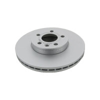 2 Bremsscheiben belüftet Ø 300 mm TRISCAN...