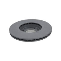 2 Brake Discs vented Ø 307 mm TRISCAN for e.g. MINI COUNTRYMAN