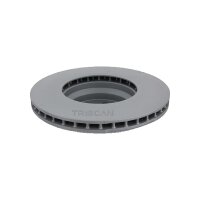 2 Bremsscheiben belüftet Ø 348 mm TRISCAN Bremsen-Expertise für BMW 7er