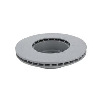 2 Brake Discs vented Ø 300 mm TRISCAN for BMW 3 Series and others