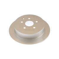 2 Bremsscheiben voll Ø 309 mm TRISCAN...