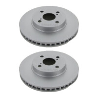 2 Bremsscheiben belüftet Ø 256 mm TRISCAN...