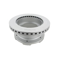 2 Brake Discs vented Ø 306 mm TRISCAN suitable for e.g. IVECO DAILY