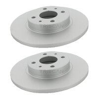 2 Bremsscheiben voll Ø 257 mm TRISCAN...