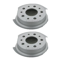 2 Brake Discs vented Ø 305 mm TRISCAN suitable for...
