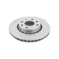 2 Bremsscheiben belüftet Ø 256 mm TRISCAN...