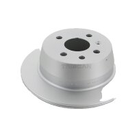 2 Bremsscheiben voll Ø 260 mm TRISCAN...