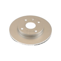 2 Bremsscheiben belüftet Ø 256 mm TRISCAN...