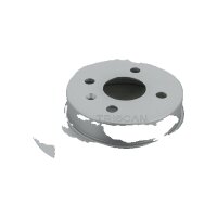 2 Bremsscheiben voll Ø 264 mm TRISCAN...