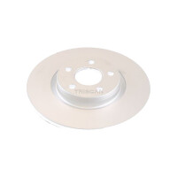 2 Bremsscheiben belüftet Ø 262 mm TRISCAN...