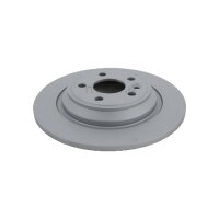 2 Brake Discs full Ø 302 mm TRISCAN...