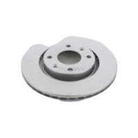 2 Bremsscheiben belüftet Ø 266 mm TRISCAN...